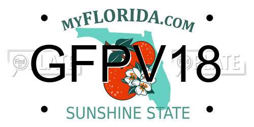GFPV18 Florida License Plate