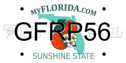 GFRP56 Florida License Plate
