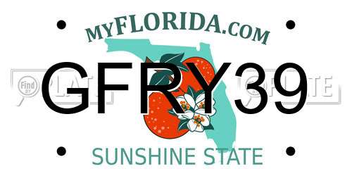 GFRY39 Florida License Plate