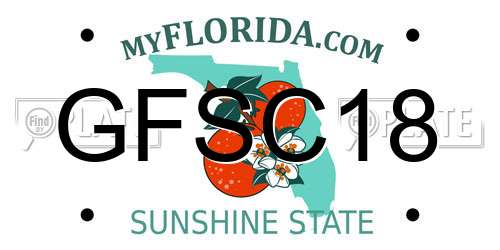 GFSC18 Florida License Plate