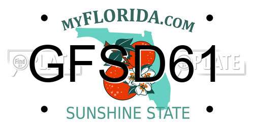 GFSD61 Florida License Plate