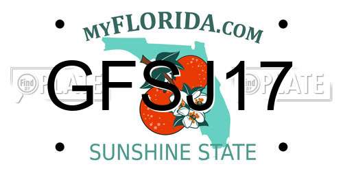 GFSJ17 Florida License Plate