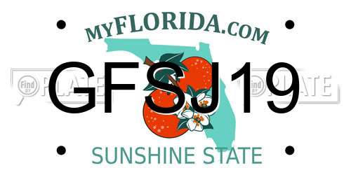 GFSJ19 Florida License Plate