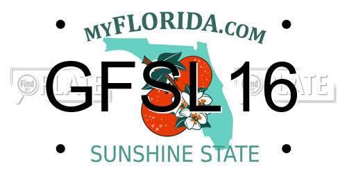 GFSL16 Florida License Plate