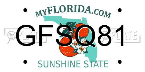 GFSQ81 Florida License Plate