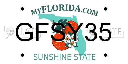 GFSY35 Florida License Plate