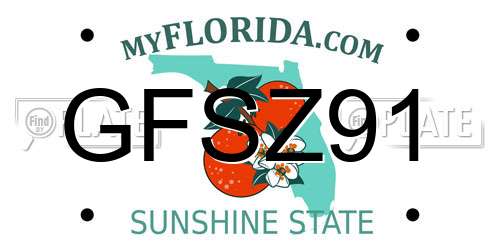 GFSZ91 Florida License Plate