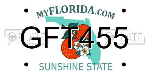 GFT455 Florida License Plate