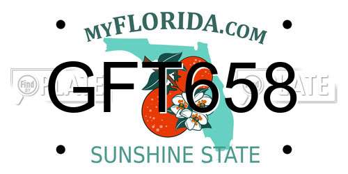 GFT658 Florida License Plate