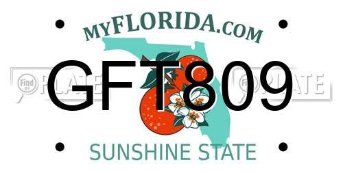 GFT809 Florida License Plate