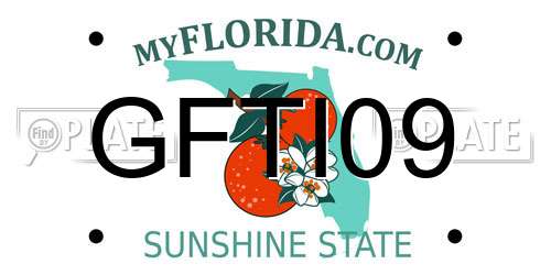 GFTI09 Florida License Plate