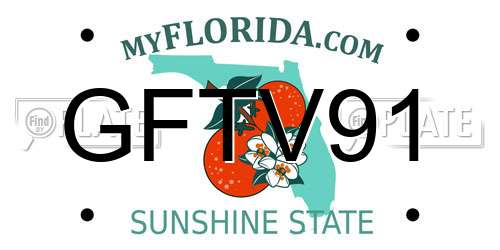 GFTV91 Florida License Plate
