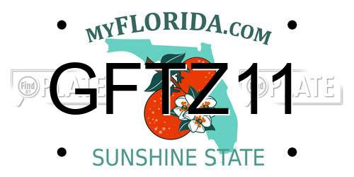 GFTZ11 Florida License Plate