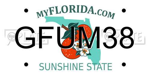 GFUM38 Florida License Plate