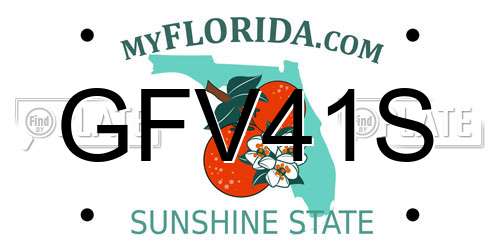 GFV41S Florida License Plate