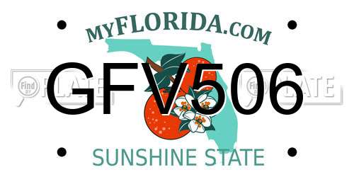 GFV506 Florida License Plate