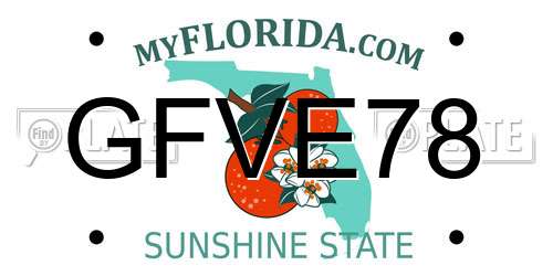 GFVE78 Florida License Plate