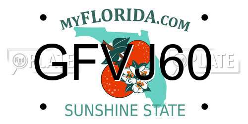 GFVJ60 Florida License Plate