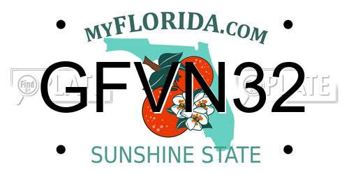 GFVN32 Florida License Plate