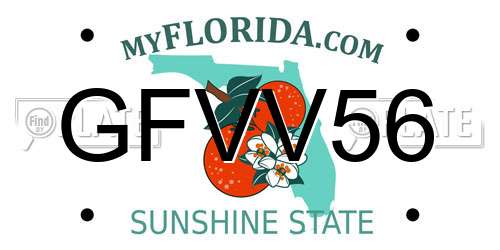 GFVV56 Florida License Plate
