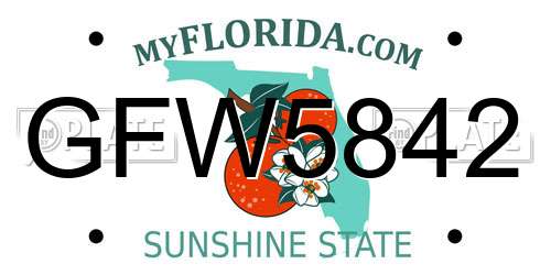 GFW5842 Florida License Plate