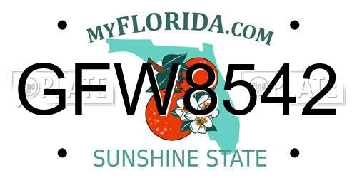 GFW8542 Florida License Plate