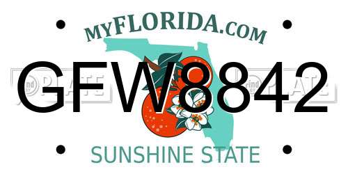 GFW8842 Florida License Plate