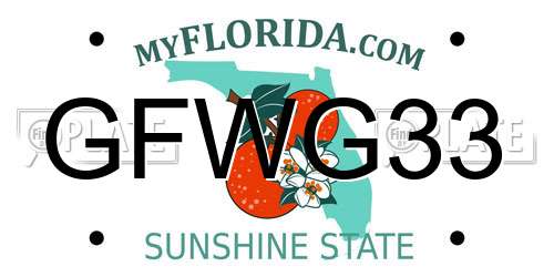 GFWG33 Florida License Plate