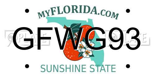 GFWG93 Florida License Plate