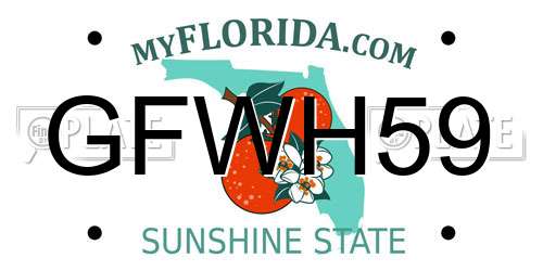GFWH59 Florida License Plate