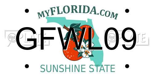 GFWL09 Florida License Plate