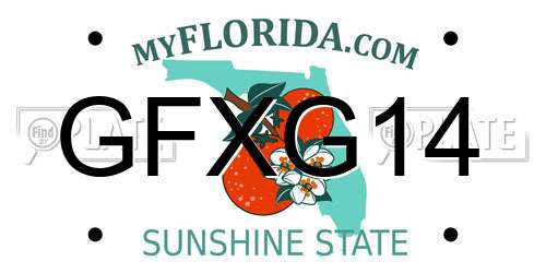 GFXG14 Florida License Plate