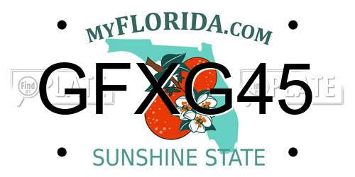 GFXG45 Florida License Plate