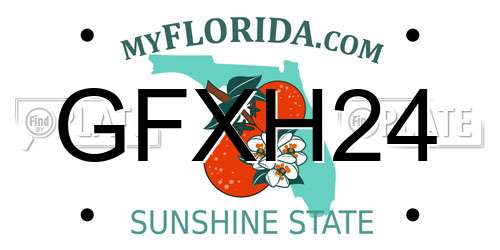 GFXH24 Florida License Plate