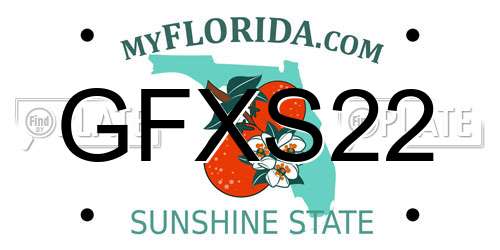 GFXS22 Florida License Plate