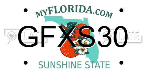 GFXS30 Florida License Plate