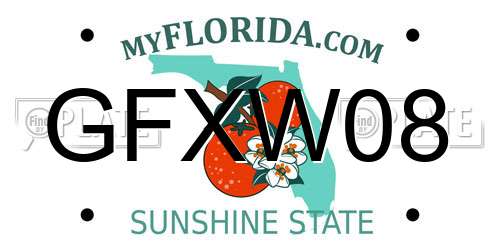 GFXW08 Florida License Plate
