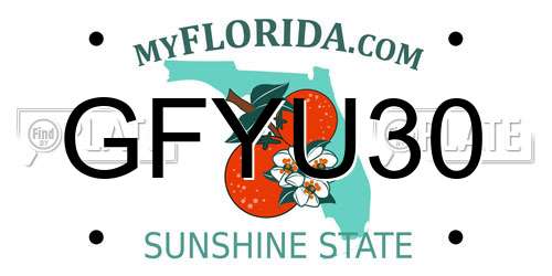 GFYU30 Florida License Plate