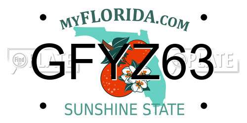 GFYZ63 Florida License Plate