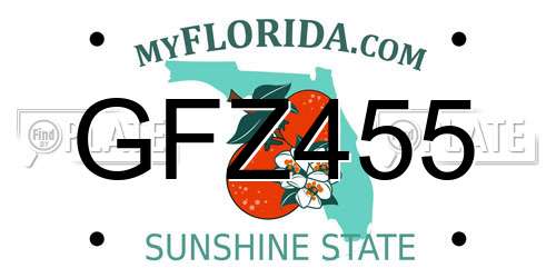 GFZ455 Florida License Plate