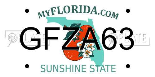GFZA63 Florida License Plate