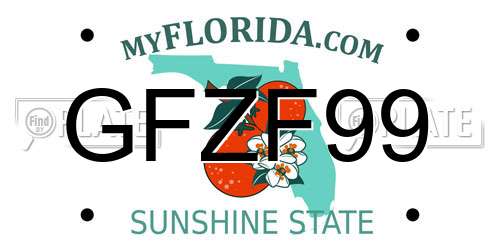 GFZF99 Florida License Plate