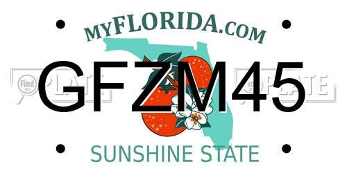 GFZM45 Florida License Plate