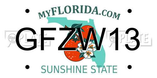 GFZW13 Florida License Plate