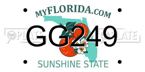 GG249 Florida License Plate