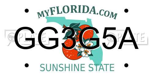 GG3G5A Florida License Plate