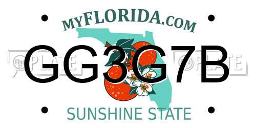 GG3G7B Florida License Plate