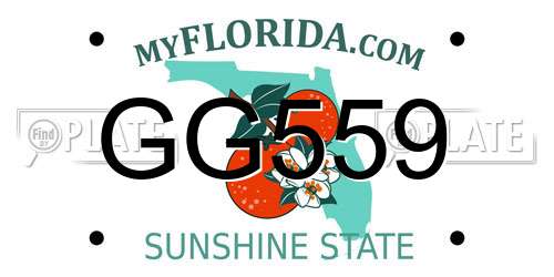 GG559 Florida License Plate