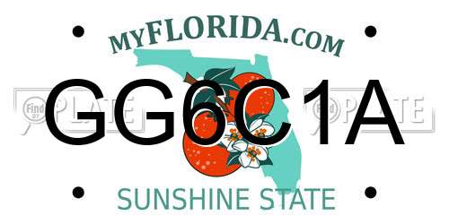 GG6C1A Florida License Plate