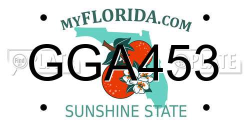 GGA453 Florida License Plate